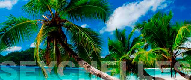 Seychelles offshore company